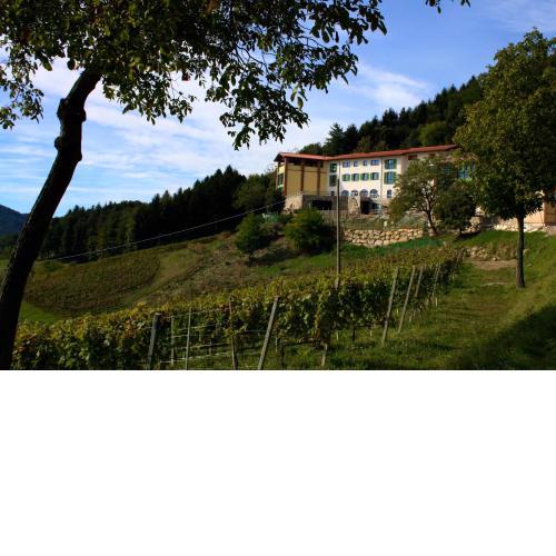 Polisena L'Altro Agriturismo Veg