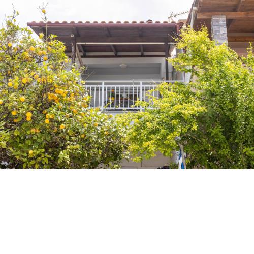 Polymnia Home