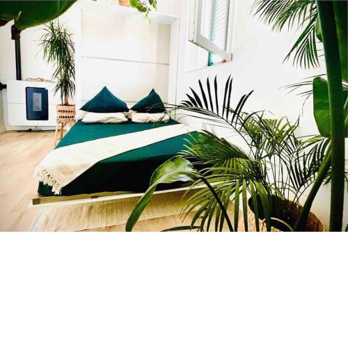 Poppy • ecoGuestHouse