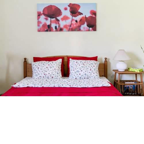 Poppy Flower Apartment