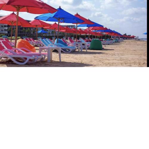 Port Said city, Damietta Port Said coastal road no2433