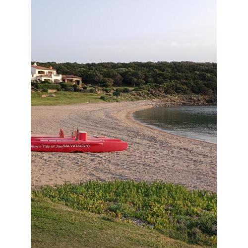 Porto Cervo località Cala del Faro. Affitto bilocale con portico e giardino.