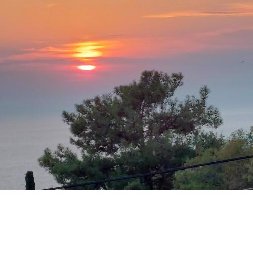 PORTO KATSIKI-HOME