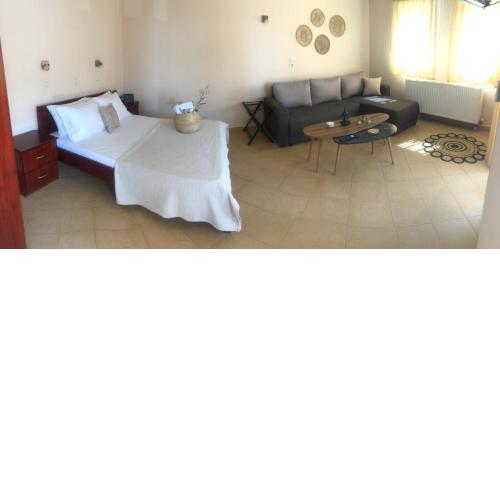 Porto Nuovo Studio