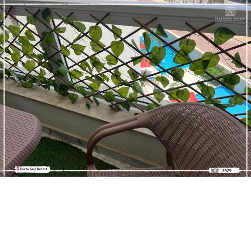 Porto Said Resort - Luxury One Bed Room & Reception-68 m2 شالية غرفة وريسبشن فرش فندقي بسين