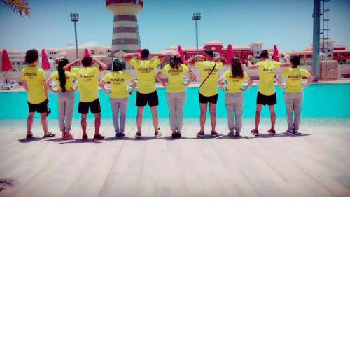 Porto sharm napq score