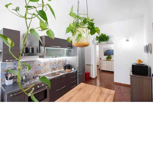 Pothos House