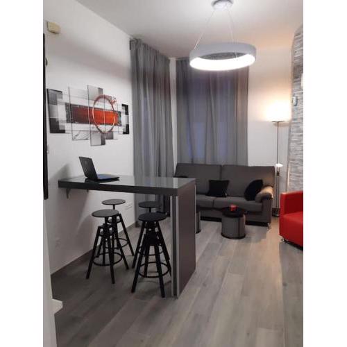 Precioso loft en el centro de Málaga