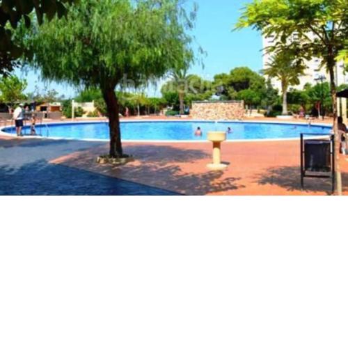 PRIMERA LÍNEA, PISCINA, WiFi, PÁDEL y más! #1