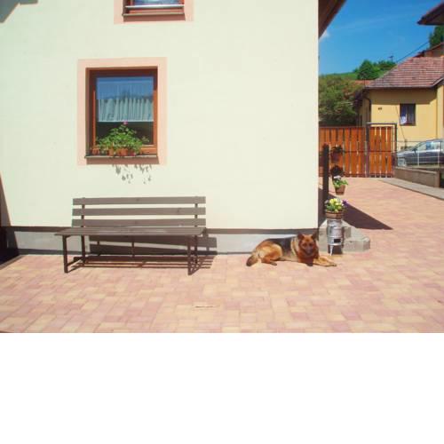 Privat Abeta