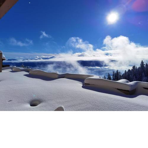 Private Apartments im Almresort Gerlitzen - Traumlage für Winter und Sommerurlaub LivGood