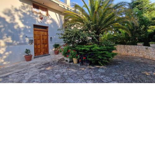 Private house in Locorotondo - Puglia - Italy
