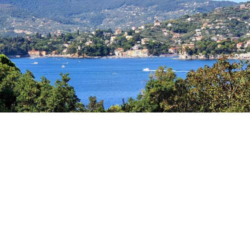Private Parking, Seaview, Living Terrace