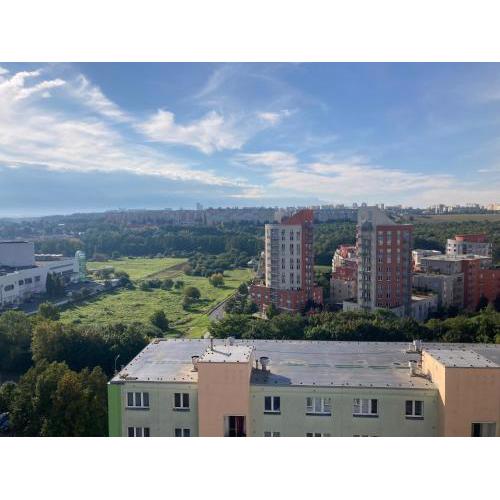 Private room in a shared park-side apartment with a great connection to the city center
