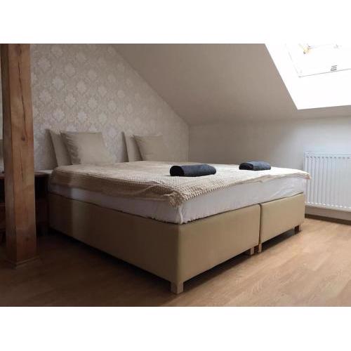 Private Room in the city center! [ZF]