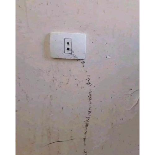 Private room