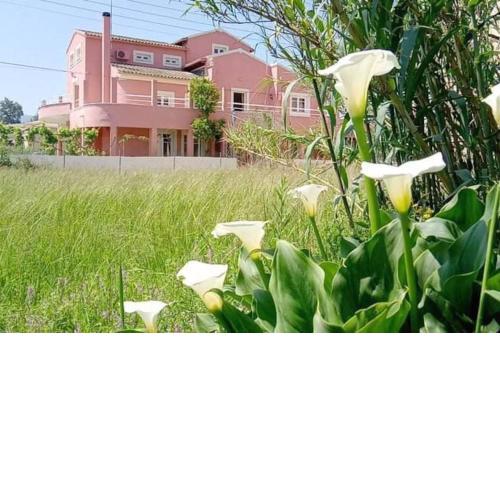 Private Villa AKOBARA, 2km from city center