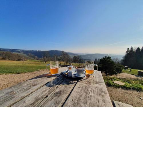 PRONÁJEM APARTMÁNU V TANVALDU