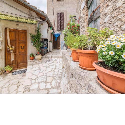 Property in Polino TR