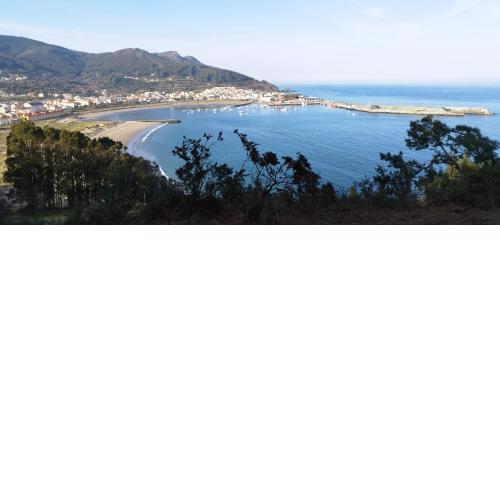 Puerto Pesquero de Cariño