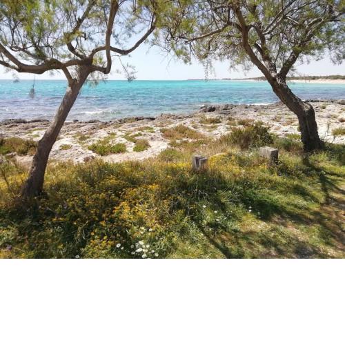 Punta Grossa - Porto Cesareo