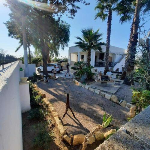 Puntadoro Casa