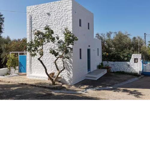 Pyrgaki House