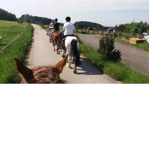 Q Ranch