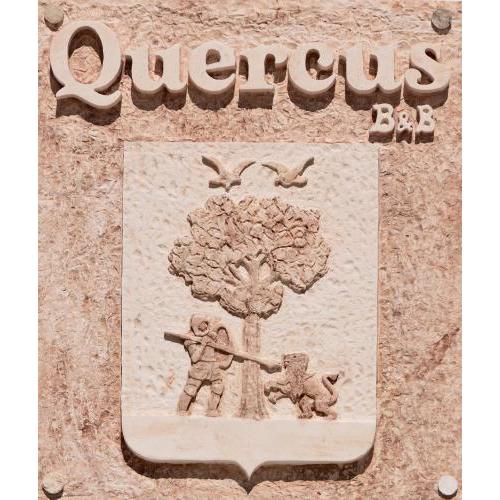 Quercus