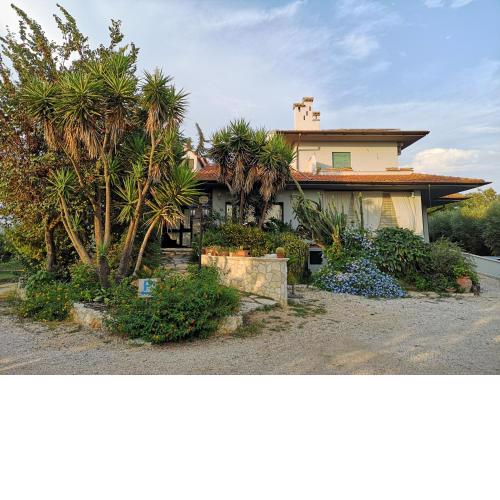 Radici b&b