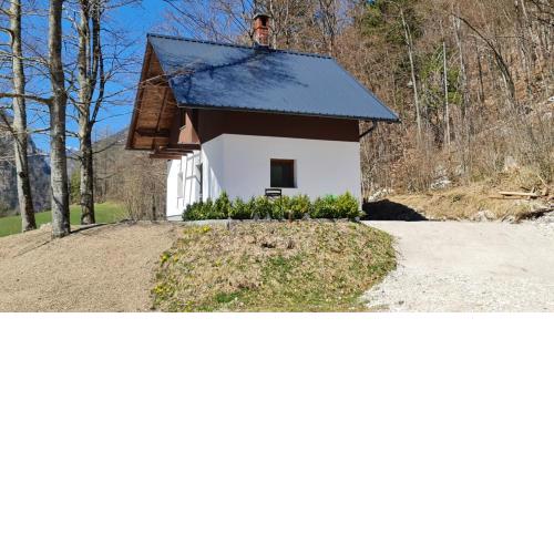 Radovna Mountain Cottage