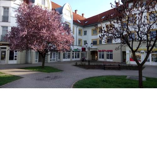 Rákóczi apartman