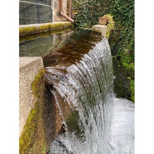 rasiglia