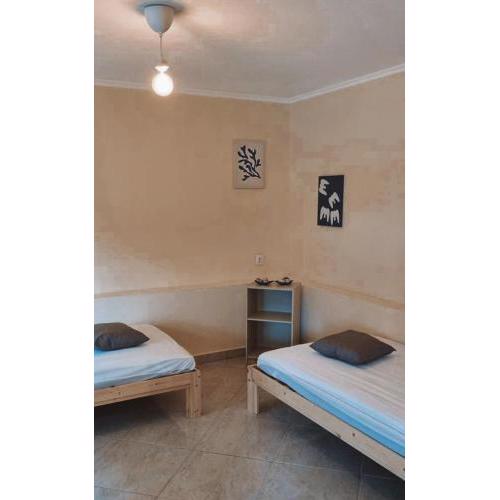RAY APARTMENT