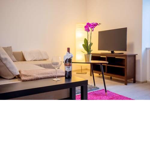 Reconstructed Historical City Centre Apartment