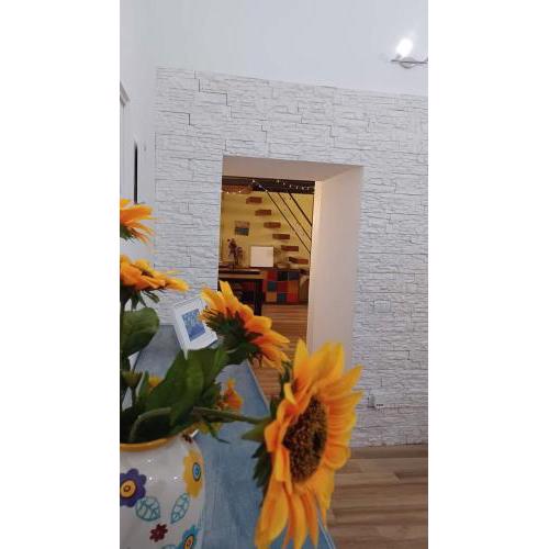 Rega Holiday House