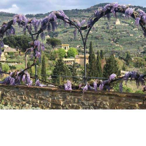 Relais & Châteaux Il Falconiere