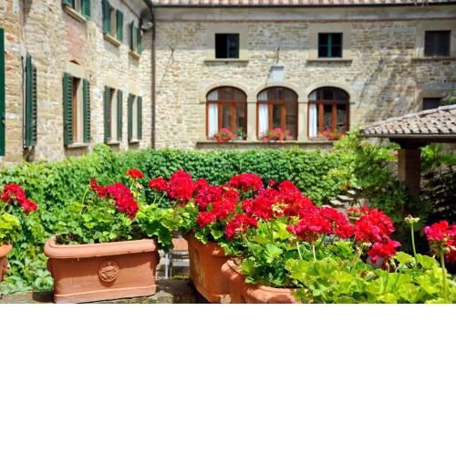 Relais La Torre