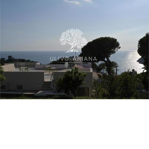 Relais Ulivo Ariana