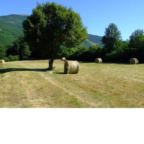 Relax Colleverde