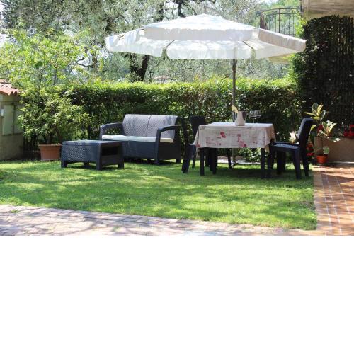 Relax in the Olive Grove