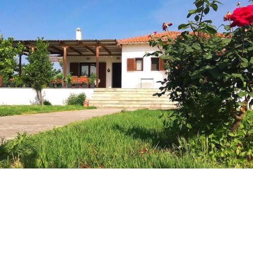 Relaxing Family House