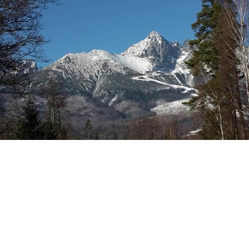 Reli Mafi Perfect View