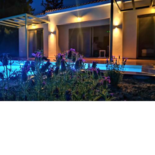 ReLux Villa