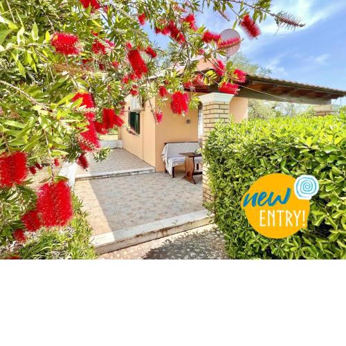 Renas Studio near Roda