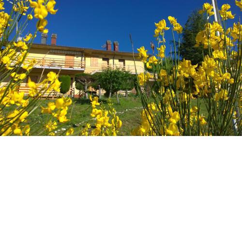 Residence Le Terrazze