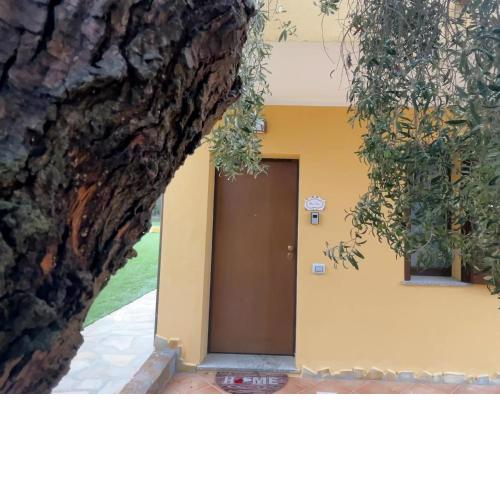 Residence Oleandri - Oleandro Bianco -