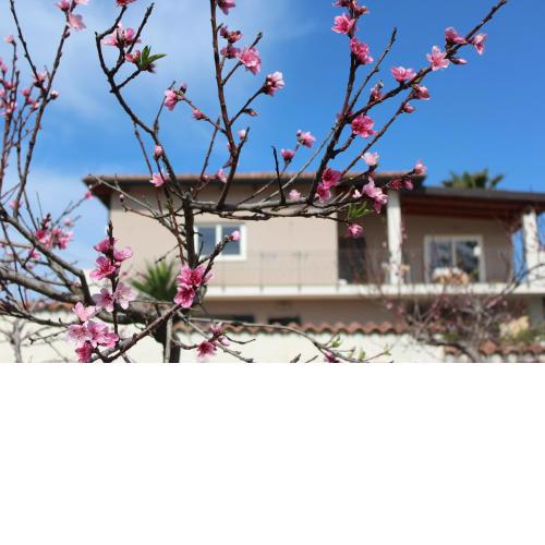Residenza Anna Calabria