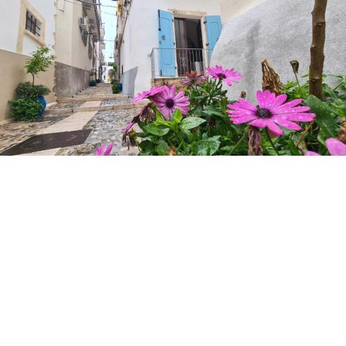 Residenza Giannini a Rodi Garganico
