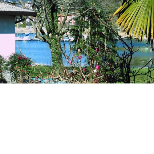 RESIDENZA IL CILIEGIO